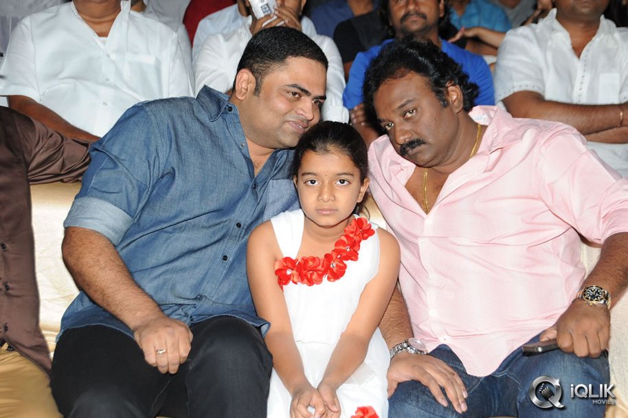 Race-Gurram-Movie-Audio-Launch